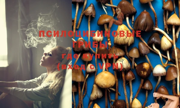 ешки Алзамай